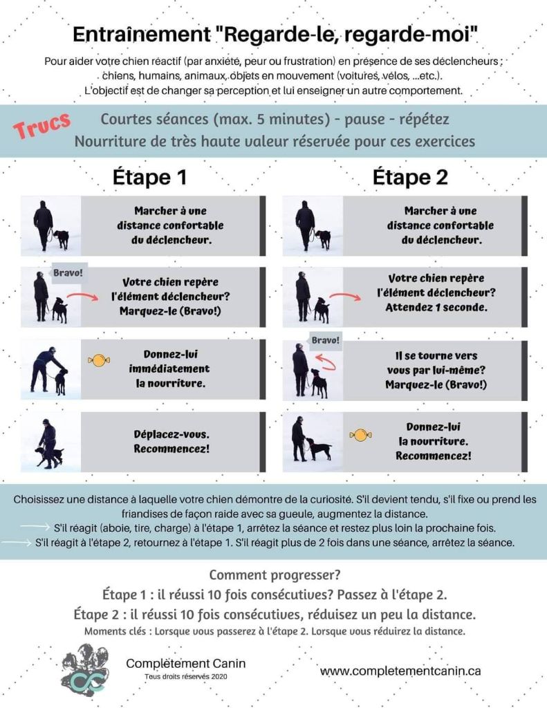 Fiche d’entraînement regarde-le regarde-moi pour chien réactif